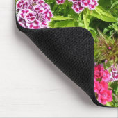 Mooie kleur bloemen, anjer muismat (Hoek)