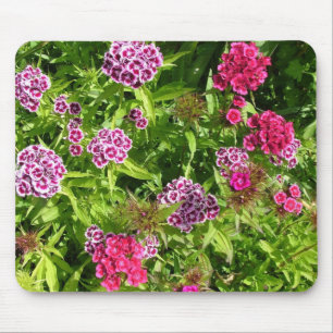 mooie kleur bloemen, anjer muismat