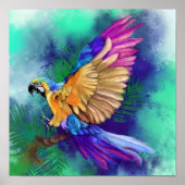 Mooie kleur Parrot Poster (Voorkant)