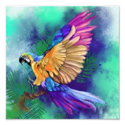 Mooie kleur Parrot Poster schilderij (Voorkant)