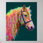 Mooie kleur van de Pony van de Rainbow Highland Poster (Voorkant)