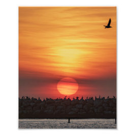 Mooie kleuren bij zonsondergang - Marina Del Rey,  Foto Afdruk
