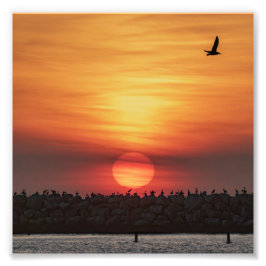 Mooie kleuren bij zonsondergang - Marina Del Rey,  Foto Afdruk