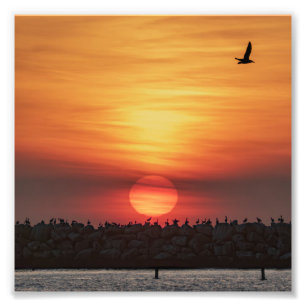Mooie kleuren bij zonsondergang - Marina Del Rey,  Foto Afdruk