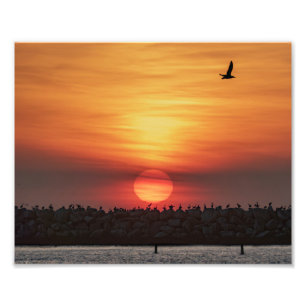 Mooie kleuren bij zonsondergang - Marina Del Rey, Foto Afdruk
