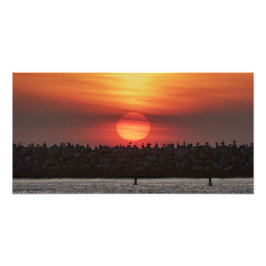 Mooie kleuren bij zonsondergang - Marina Del Rey,  Foto Afdruk