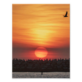 Mooie kleuren bij zonsondergang - Marina Del Rey,  Foto Afdruk