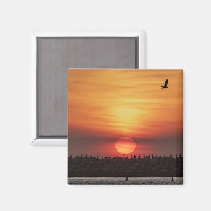 Mooie kleuren bij zonsondergang - Marina Del Rey,  Magneet