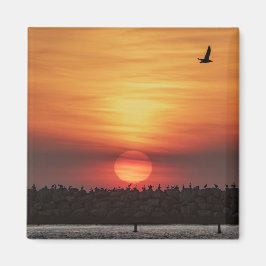 Mooie kleuren bij zonsondergang - Marina Del Rey,  Magneet