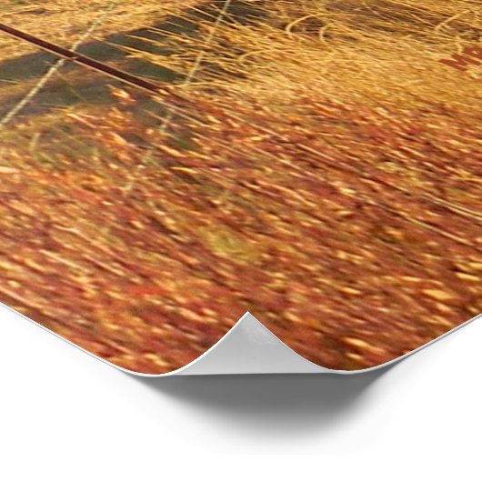 Mooie kleuren in de Herfst... Poster (Hoek)