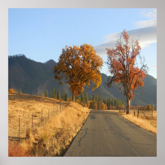Mooie kleuren in de Herfst... Poster (Voorkant)