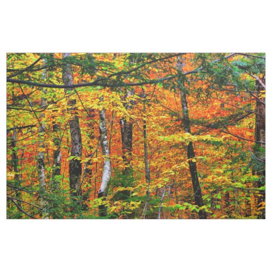 Mooie kleuren in weefsel stof (Yard (91,4 cm))