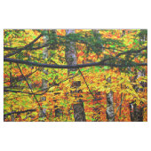 Mooie kleuren in weefsel stof (Fat Quarter)