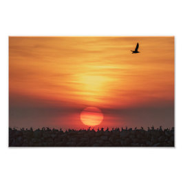 Mooie kleuren van de zonsondergang - Marina Del Re Foto Afdruk