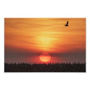 Mooie kleuren van de zonsondergang - Marina Del Re Foto Afdruk