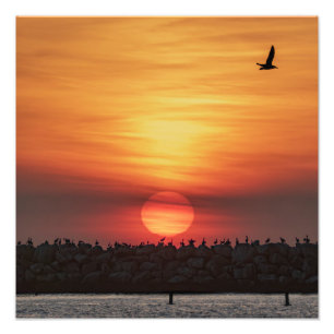 Mooie kleuren van zonsondergang - Marina Del Rey, Foto Afdruk