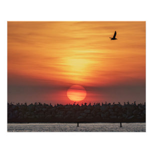 Mooie kleuren van zonsondergang - Marina Del Rey,  Foto Afdruk