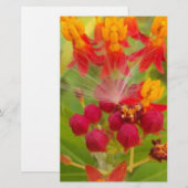 Mooie kleurrijke bloem met Milkweed Art Print Briefpapier (Voorkant / Achterkant)