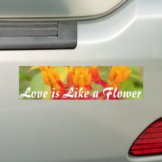 Mooie kleurrijke bloem met Milkweed Art Print Bumpersticker (Op auto)