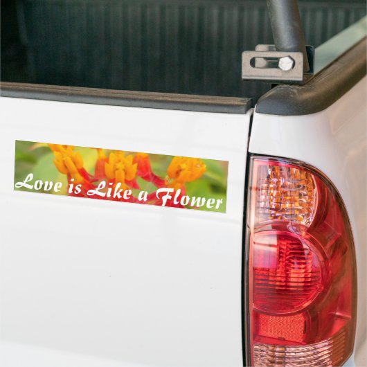 Mooie kleurrijke bloem met Milkweed Art Print Bumpersticker (Op Truck)