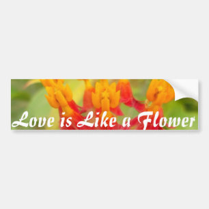 Mooie kleurrijke bloem met Milkweed Art Print Bumpersticker