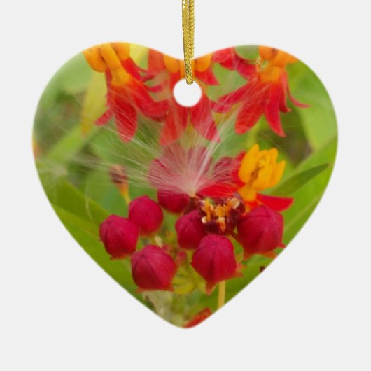 Mooie kleurrijke bloem met Milkweed Art Print Keramisch Ornament (Voorkant)