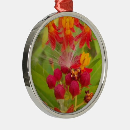 Mooie kleurrijke bloem met Milkweed Art Print Metalen Ornament (Rechts)
