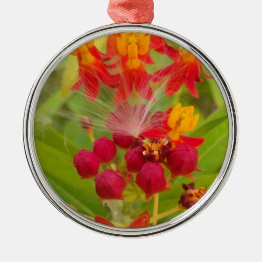 Mooie kleurrijke bloem met Milkweed Art Print Metalen Ornament (Voorkant)