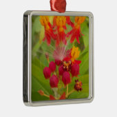 Mooie kleurrijke bloem met Milkweed Art Print Metalen Ornament (Rechts)
