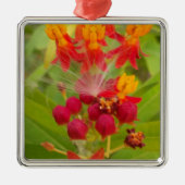 Mooie kleurrijke bloem met Milkweed Art Print Metalen Ornament (Voorkant)