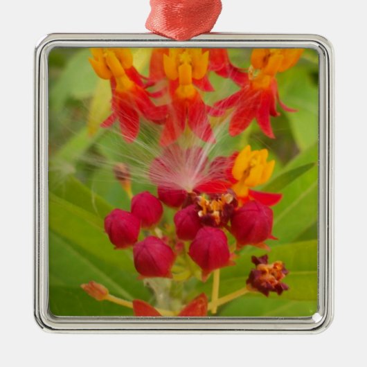 Mooie kleurrijke bloem met Milkweed Art Print Metalen Ornament (Voorkant)