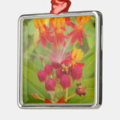 Mooie kleurrijke bloem met Milkweed Art Print Metalen Ornament (Links)