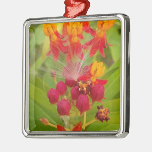 Mooie kleurrijke bloem met Milkweed Art Print Metalen Ornament (Links)