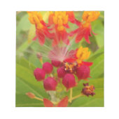 Mooie kleurrijke bloem met Milkweed Art Print Notitieblok (Voorkant)