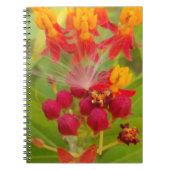Mooie kleurrijke bloem met Milkweed Art Print Notitieboek (Voorkant)