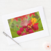 Mooie kleurrijke bloem met Milkweed Art Print Rechthoekige Sticker (Envelop)