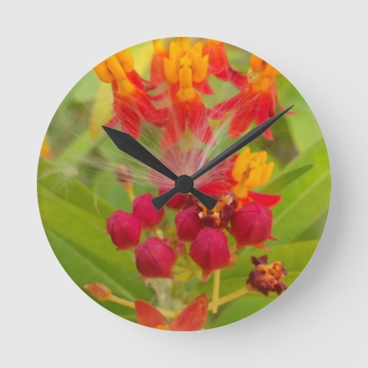 Mooie kleurrijke bloem met Milkweed Art Print Ronde Klok (Voorkant)