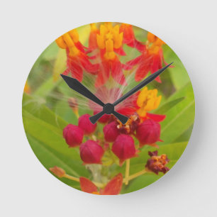 Mooie kleurrijke bloem met Milkweed Art Print Ronde Klok