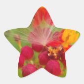 Mooie kleurrijke bloem met Milkweed Art Print Ster Sticker (Voorkant)