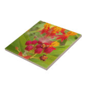 Mooie kleurrijke bloem met Milkweed Art Print Tegeltje (Zijkant)