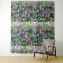 Mooie Kleurrijke Bloem