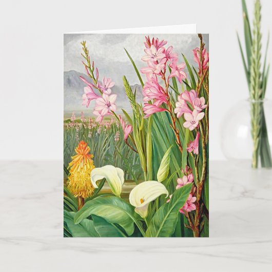 Mooie, kleurrijke bloemen blanco briefkaart (Voorkant)