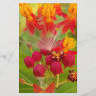 Mooie Kleurrijke Bloemstuk met Zijdeplant Kunstpri Briefpapier