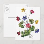 Mooie kleurrijke geborduurde houtzuring briefkaart (Voorkant / Achterkant)