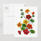 Mooie kleurrijke geborduurde Nasturtiums Briefkaart (Voorkant / Achterkant)