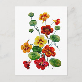 Mooie kleurrijke geborduurde Nasturtiums Briefkaart