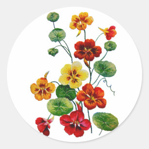 Mooie kleurrijke geborduurde Nasturtiums Ronde Sticker