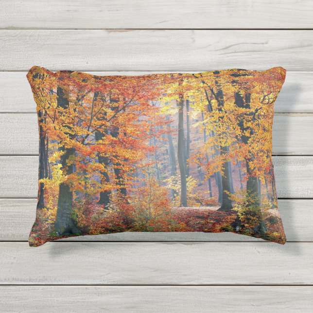Mooie, kleurrijke herfstboszonnestralen buitenkussen (Voorkant)