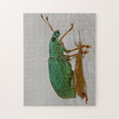 Mooie, kleurrijke Macro Foto Puzzle Legpuzzel (Verticaal)