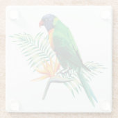 Mooie kleurrijke papegaai en bloemen glazen onderzetter (Achterkant)